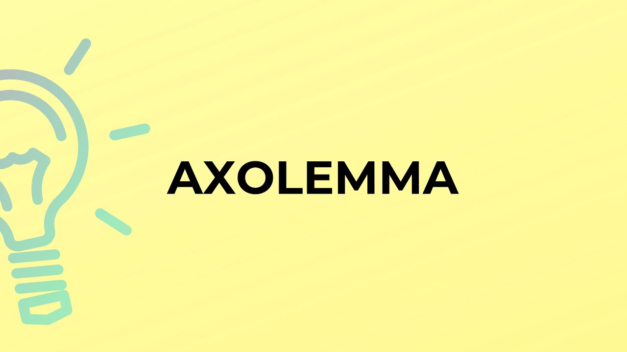 What is the meaning of the word AXOLEMMA?