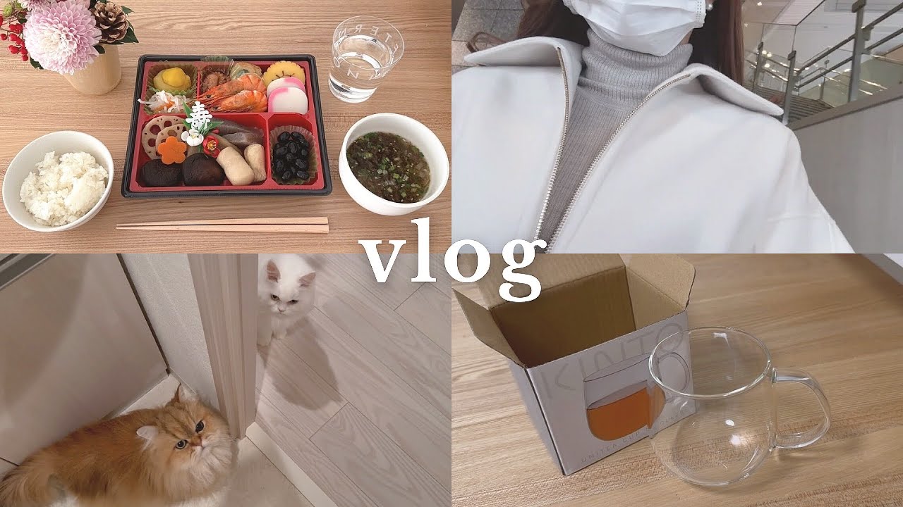 年末の連勤を乗り越え猫達と一緒に迎えるお正月vlog🐈🎍🌸｜一人暮らし30代の日常