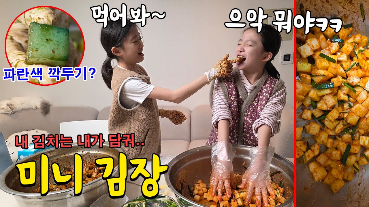 쌍둥이들이 직접 깍두기 담궜어요!! 근데 깍두기 색깔이 파란색이라고?? ㅋㅋ 할머니가 화나신 이유는??;;; 가족일상 브이로그 | 뚜아뚜지TV