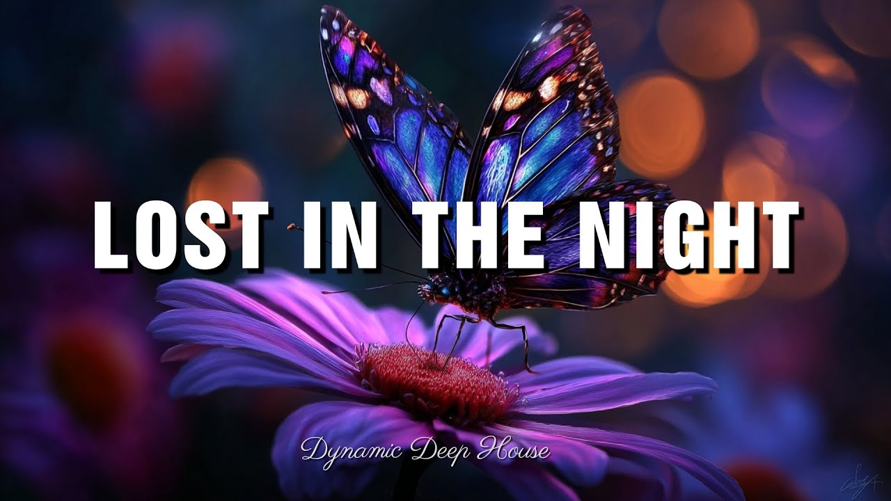 Lost in the Night -  Dynamic Deep House