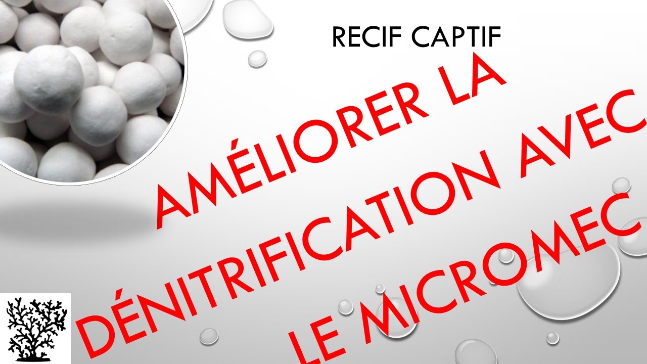 Améliorer la dénitrification avec le Micromec - Mr Recif Captif #40