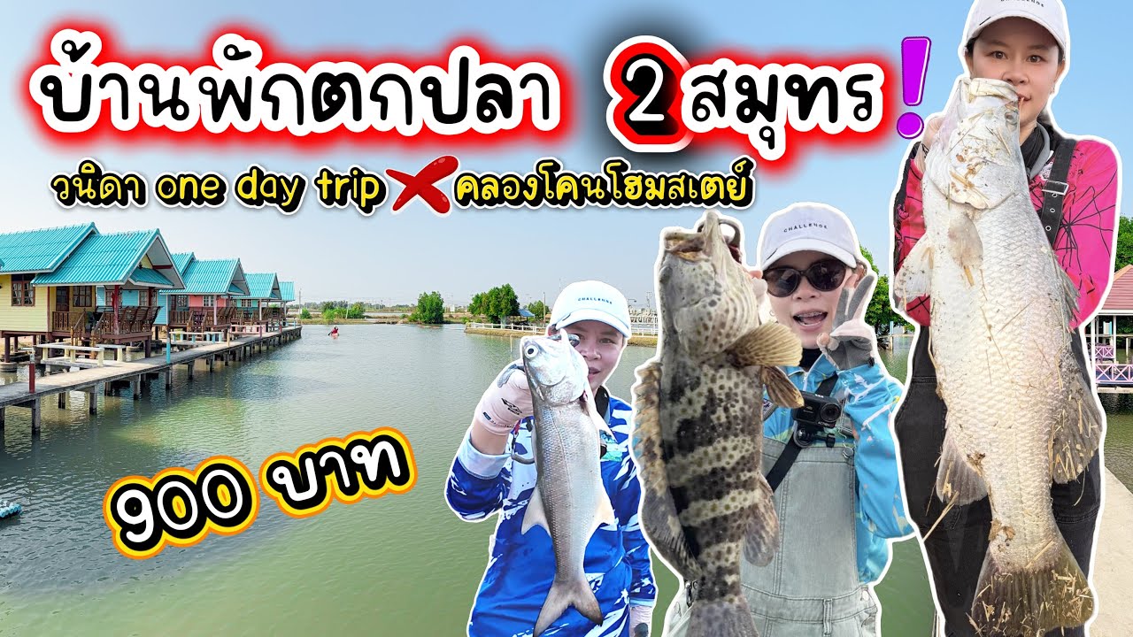 ที่พักตกปลา ไม่ต้องชั่งแต่เสียค่าคัน VS ต้องชั่งแต่ฟรีค่าคัน แบบไหนที่จะตรงใจคุณ ตามเหมียวมา......