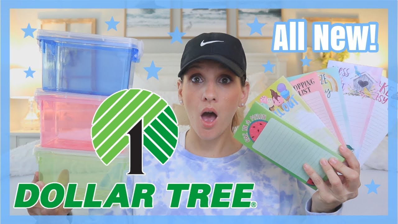 OMG 😱 DOLLAR TREE HAUL *BRAND NEW $1.00 PRODUCTS THIS WEEK* I LOVE THIS