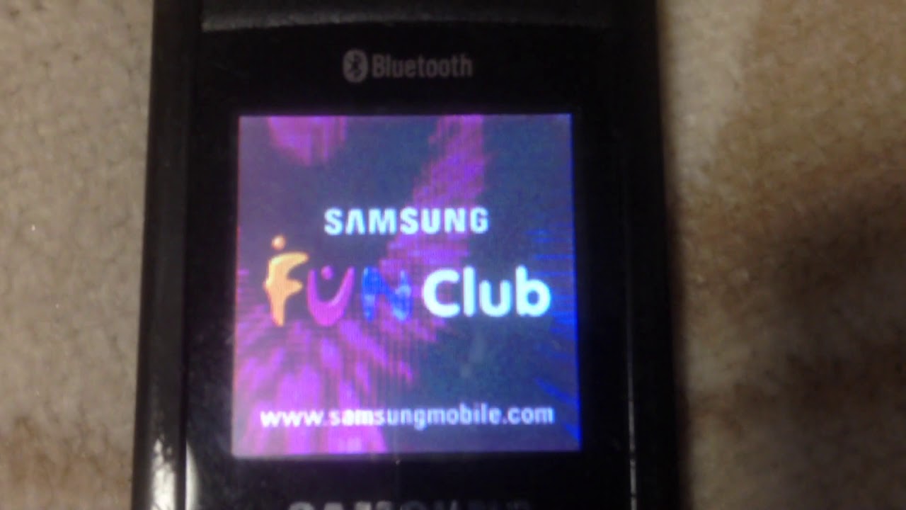 Samsung SGH-C180 - On, low battery, off (Happy New Year!)