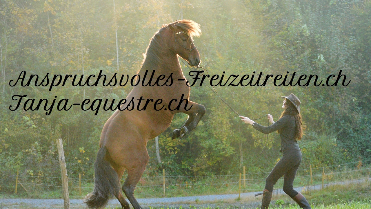 Tanja-Equestre, anspruchsvolles Freizeitreiten, Tanja Groneberg