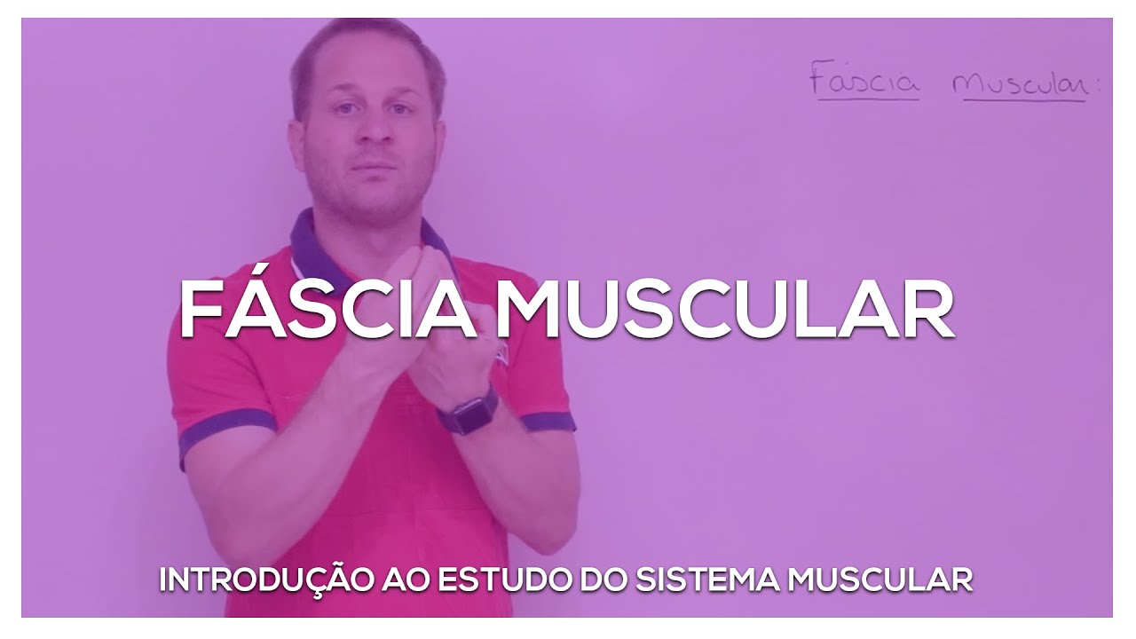 Fáscias musculares