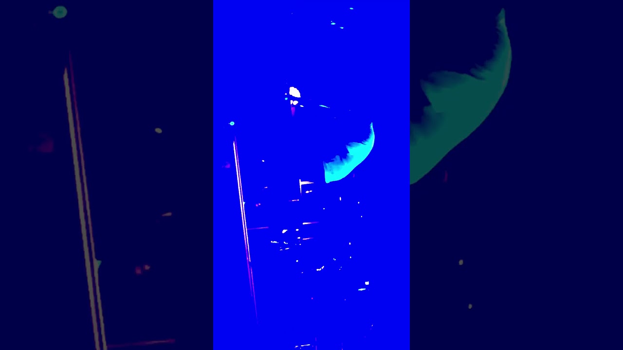 Ibrahim Maalouf@S3NS Z&eacute;nith Toulouse19