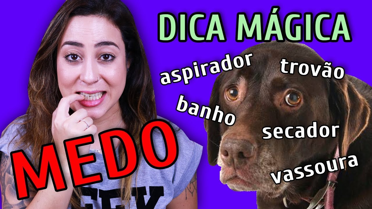 COMO ACABAR COM QUALQUER MEDO DO SEU CACHORRO