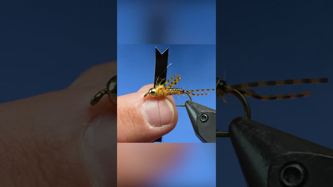Cheech's Favorite Stonefly! The 
