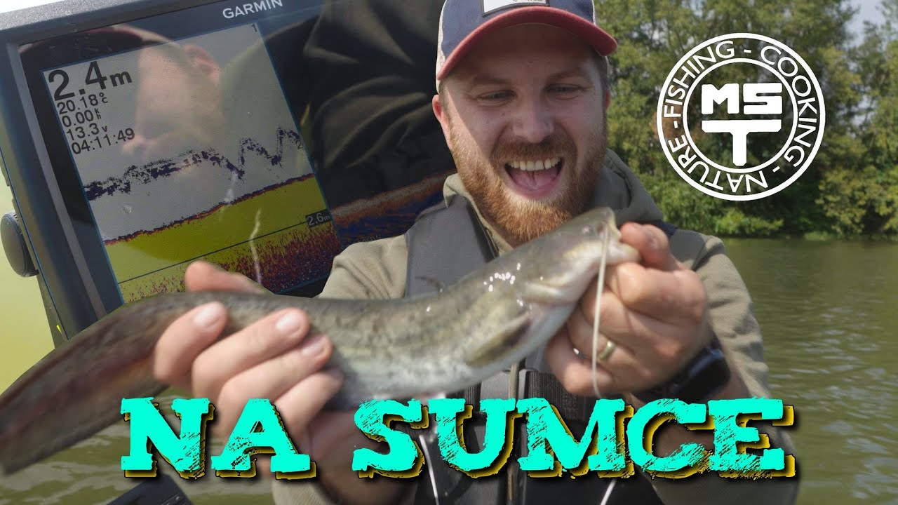 Sumce s MST #1
