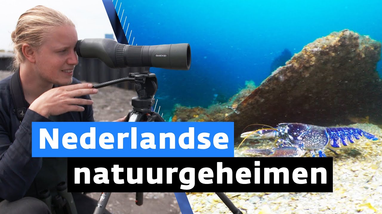 Deze natuur blijft voor ons verborgen