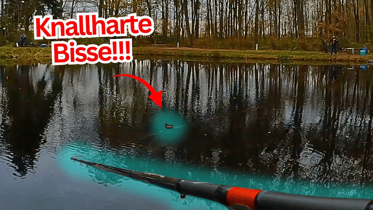 Schwieriger Forellentag im Winter – erst Tremarella brachte die Bisse am Forellensee  Forellenangeln