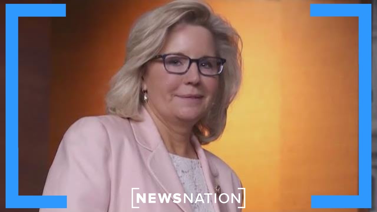 Liberal outlets now fawn over Liz Cheney: Abrams | Dan Abrams Live