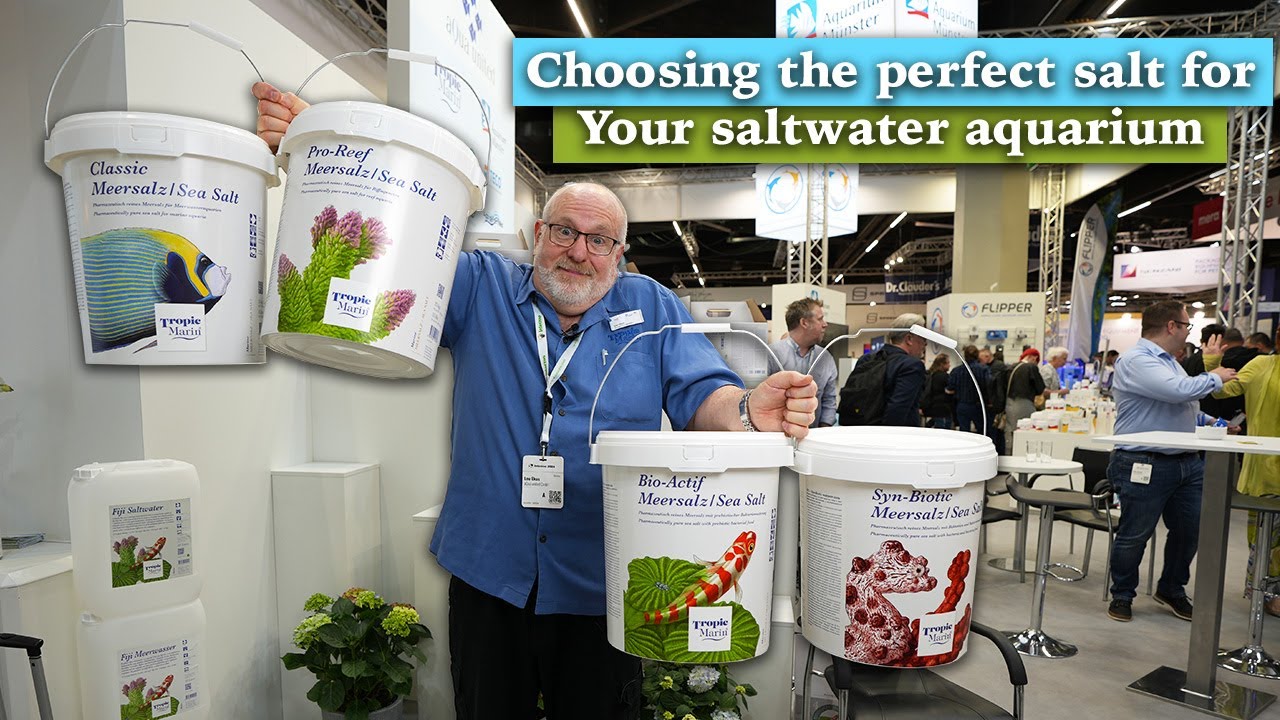 Choosing the Perfect Salt for Your Saltwater Aquarium: Expert Tips