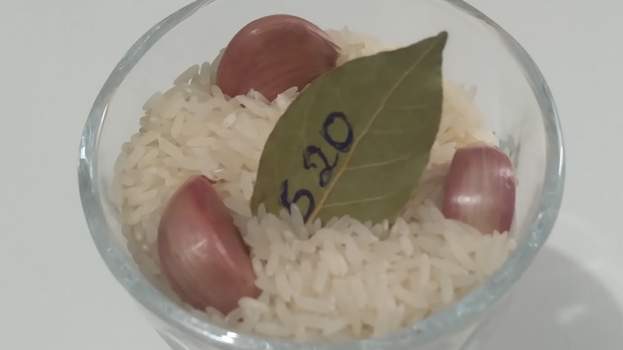DINHEIRO URGENTE EM 24 HORAS COM ESSA SIMPATIA / PRA HOJE!!!