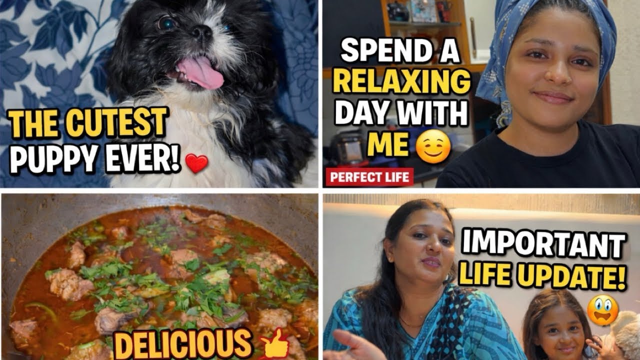 Ammi k ly muskil time hai// Cute Puppy ab hamari musibat ho gi