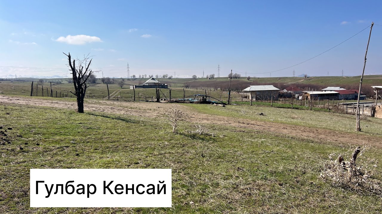 Кенсай Гулбар ‪+996 551 939 100‬