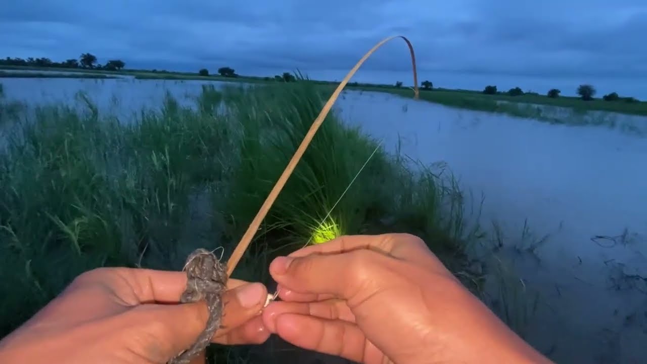 Unbelievable Hook Fishing Skill — You Won’t Expect This!