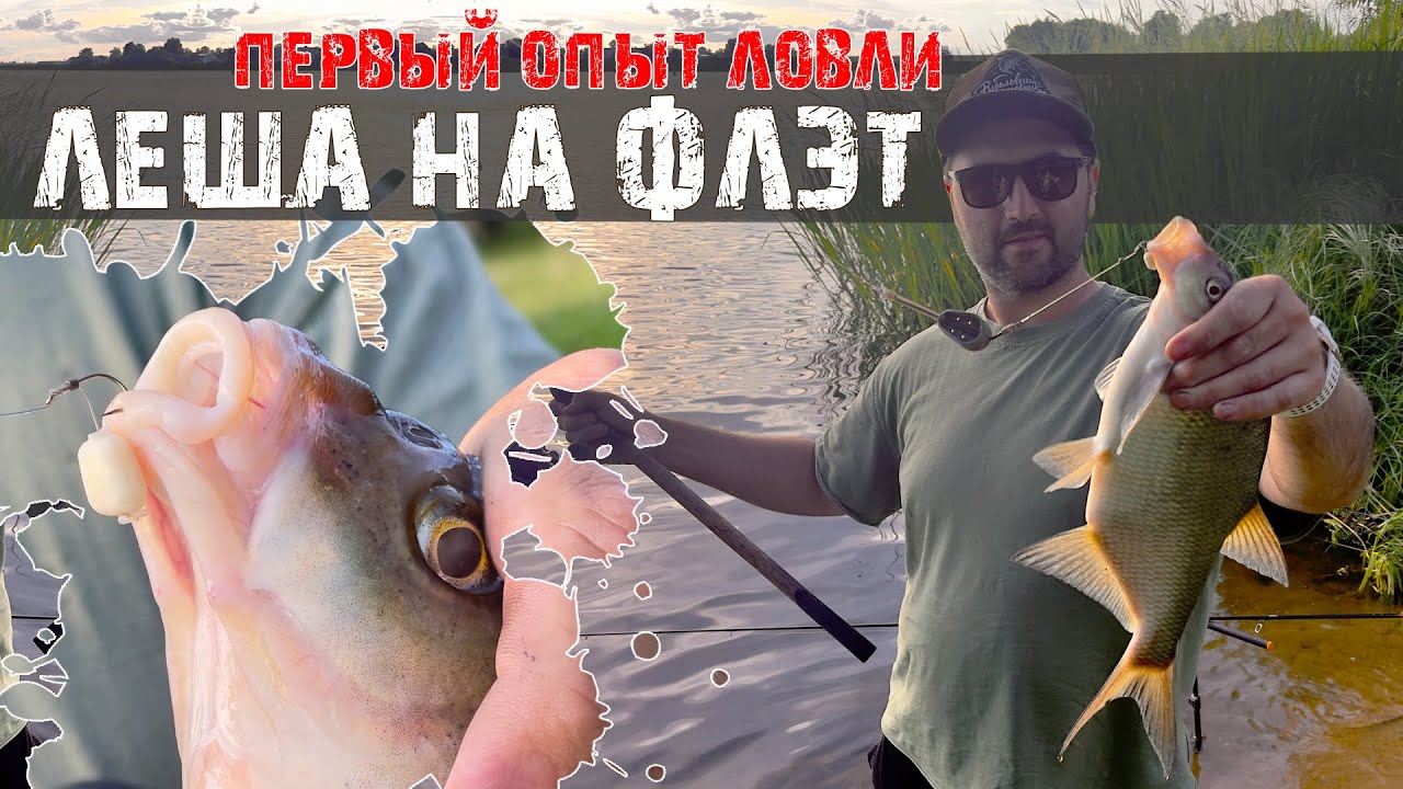 Первые ЛЕЩИ на ФЛЭТ фидер! Чем кормить, на что ловить? Делюсь опытом | Олег Квициния