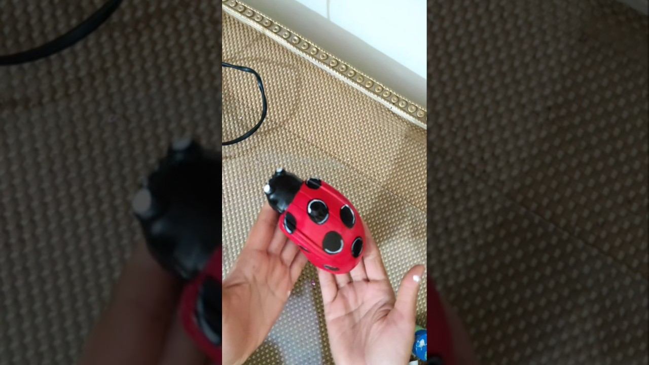 DIY Cute Ladybug Using Old Computer Mouse