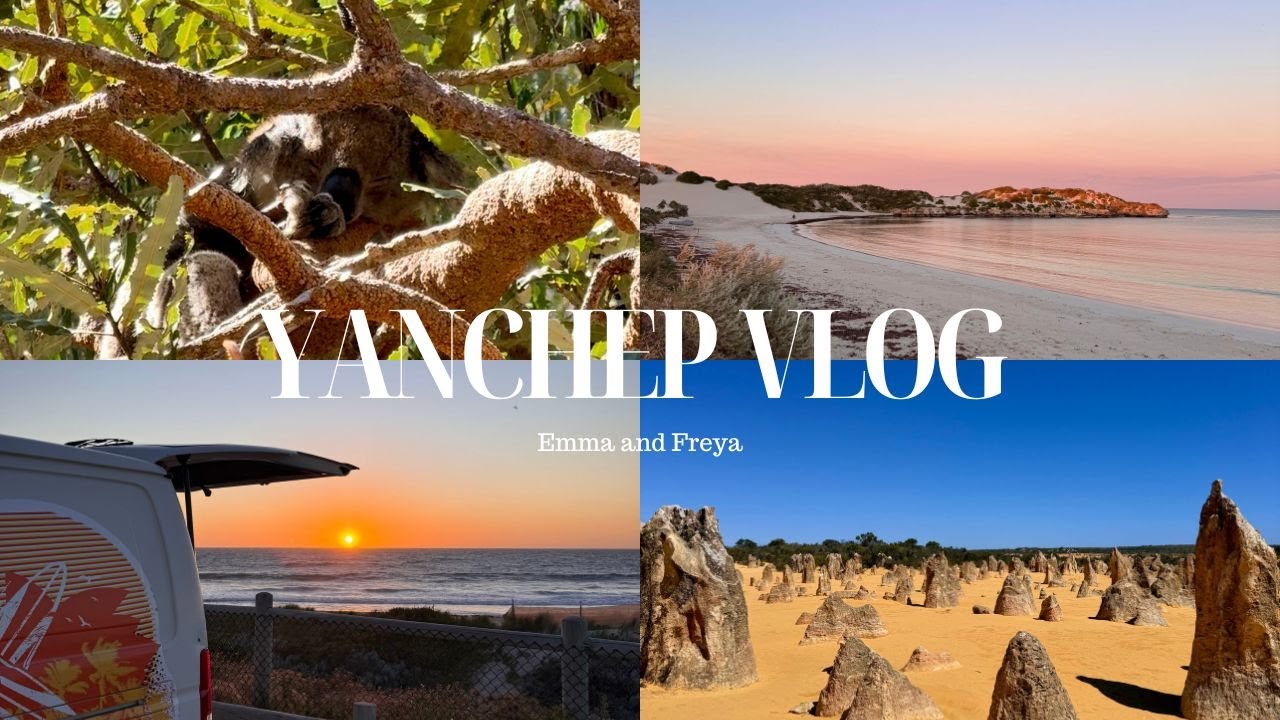 YANCHEP VLOG: spotting koalas, sunset spots and sand dunes!