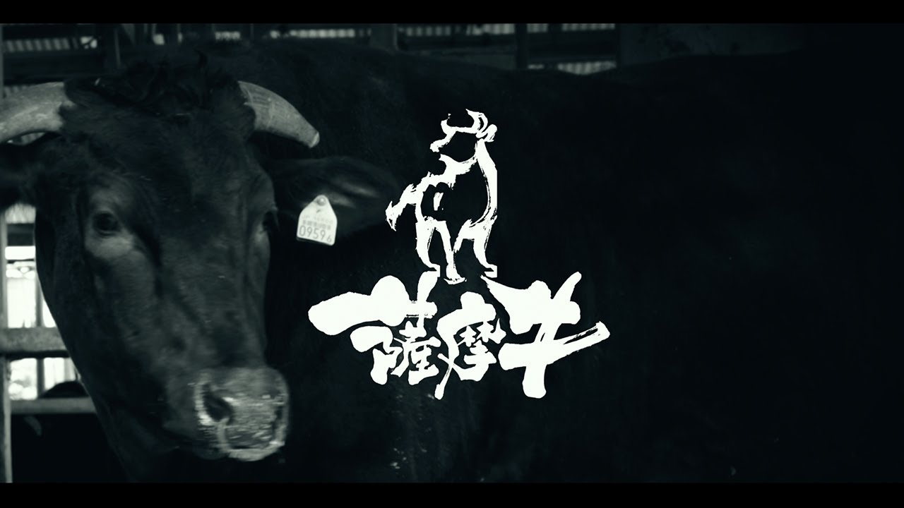 PV｜薩摩牛（字幕：英語）