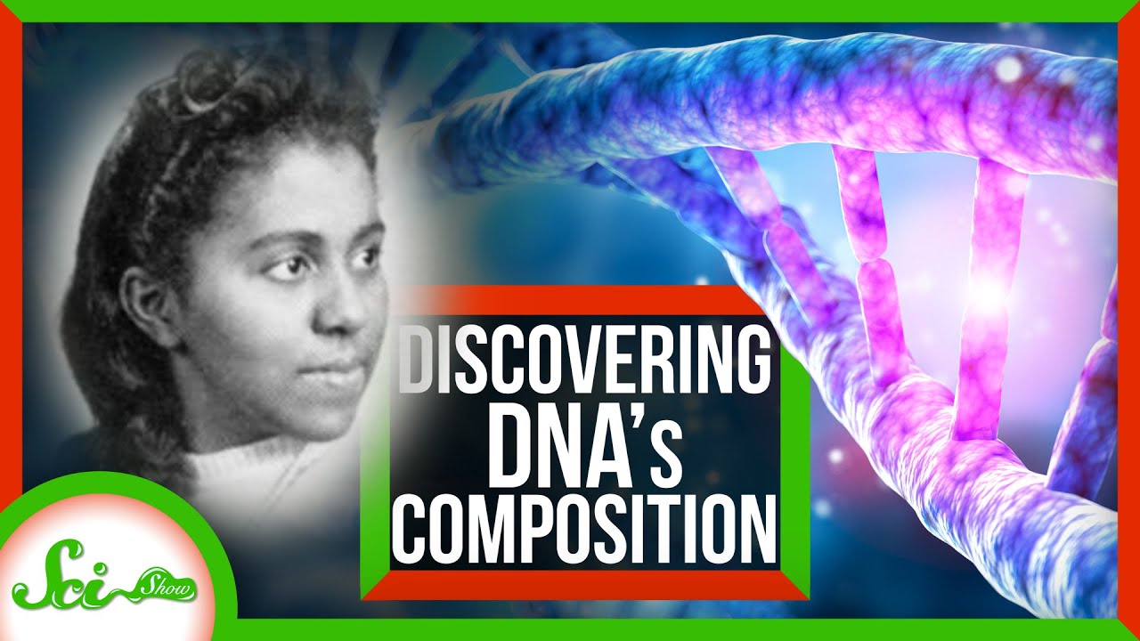 The Unsung Scientist Behind the Building Blocks of DNA | Marie M. Daly