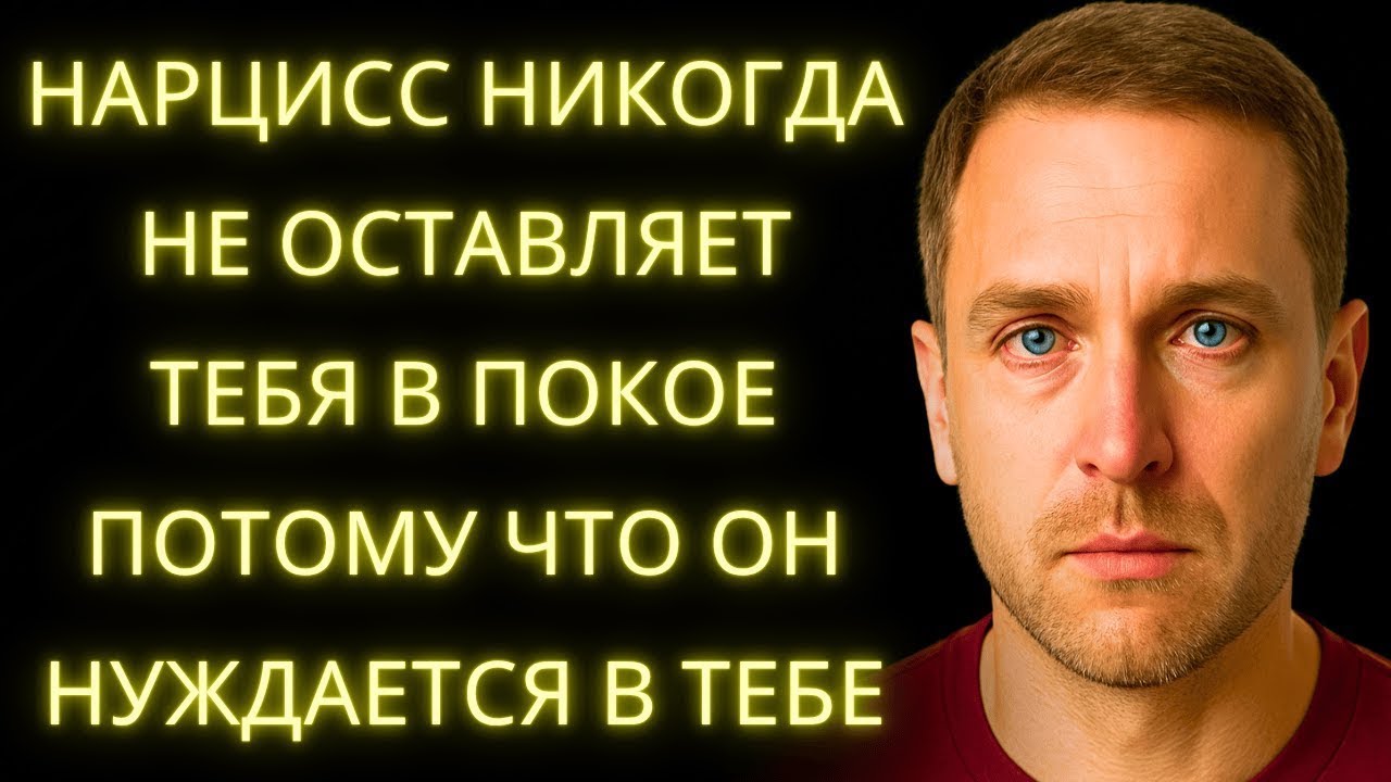8 Причин Почему Нарцисс Не Может Оставить Тебя В Покое