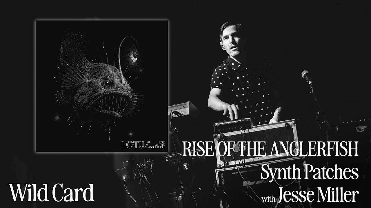 Rise of the Anglerfish - Synth Patches with Jesse Miller series #2 Wild Card