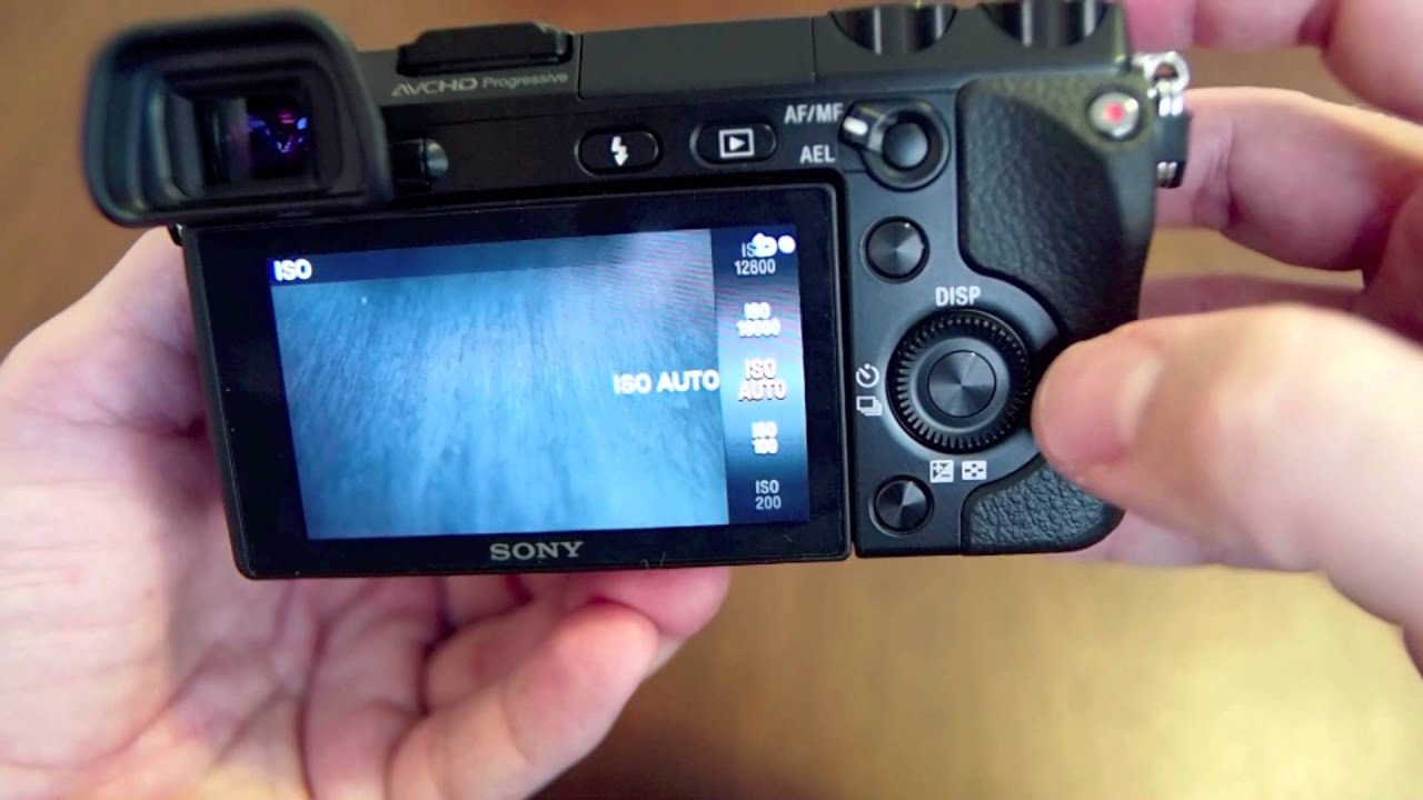 Sony NEX-7 and Zeiss 24 1.8 1st Look! - STEVEHUFFPHOTO.COM