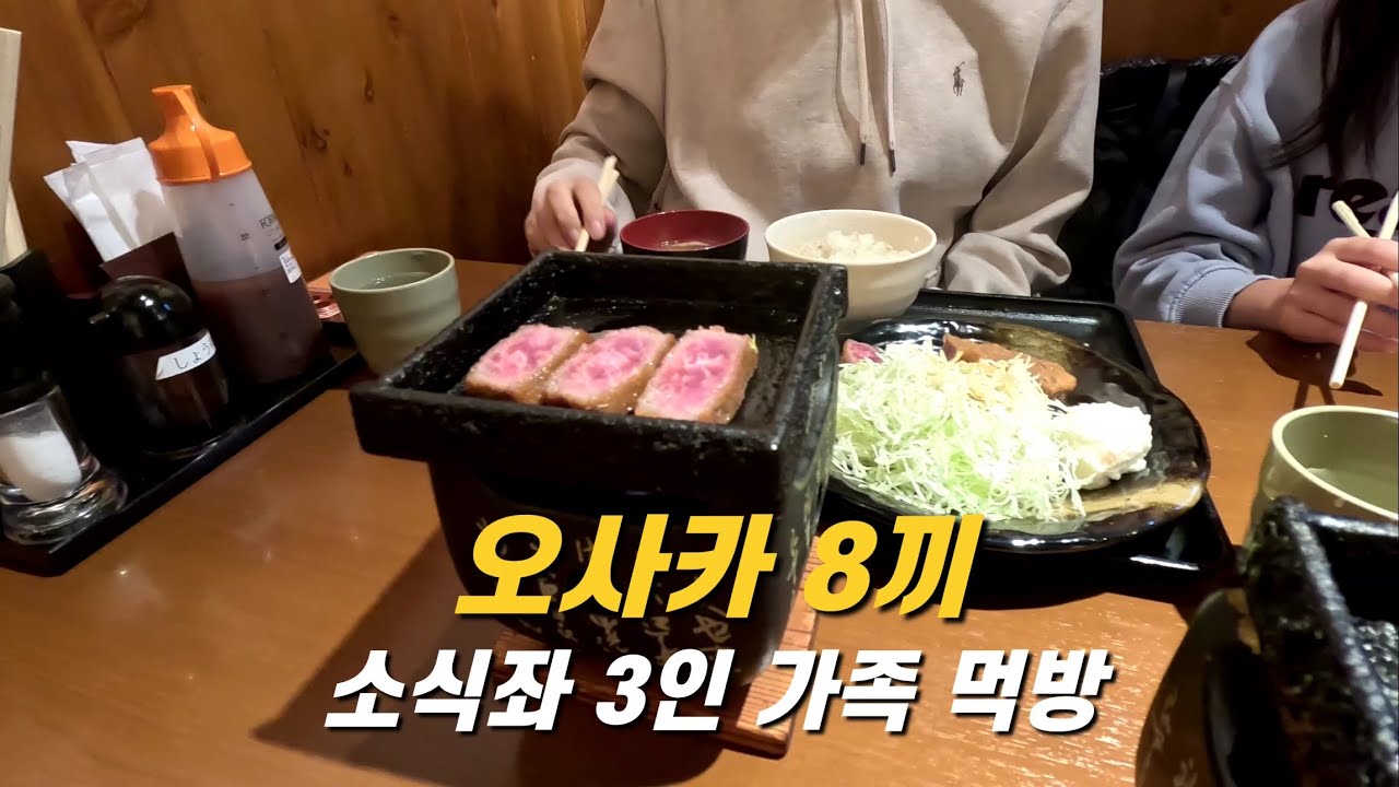 오사카 맛집투어, 8끼 3디저트 최고의 맛집을 찾아서 (야키니쿠, 규카츠, 라멘, 우동, 디저트) - 오사카 여행 (1)