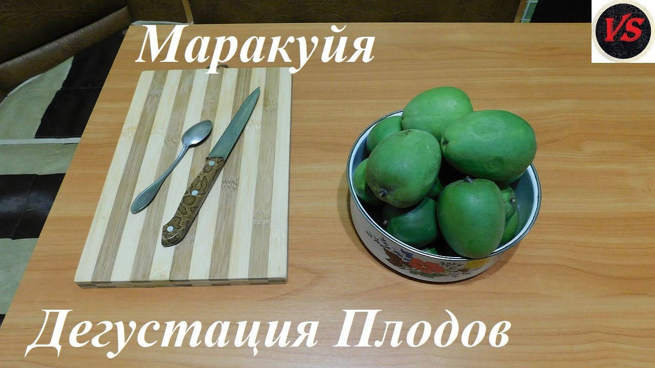 Маракуйя Дегустация Плодов