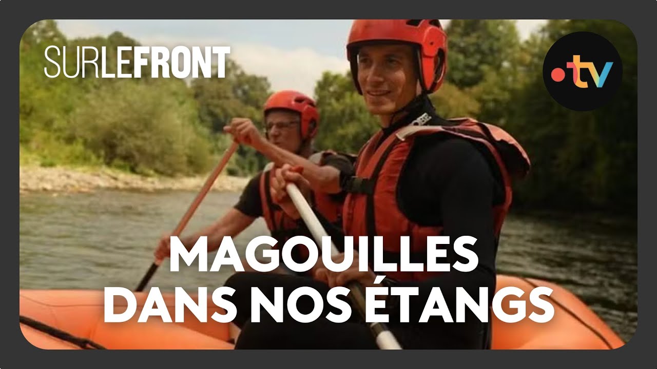 Magouilles dans nos &eacute;tangs (Int&eacute;grale) - Sur le front avec Hugo Cl&eacute;ment 13 octobre 2025