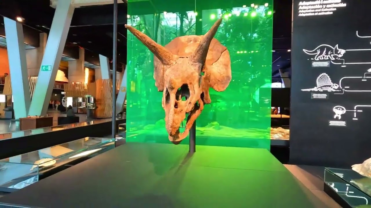 Museo de la Ciencia CosmoCaixa, Barcelona, Spain 2023