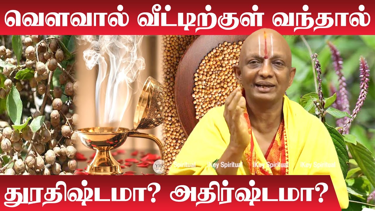 வௌவால் வீட்டிற்குள் வந்தால் துரதிர்ஷ்டமா? அதிர்ஷ்டமா?| Vavval Veetukul Vanthal Enna Palan | Sambrani