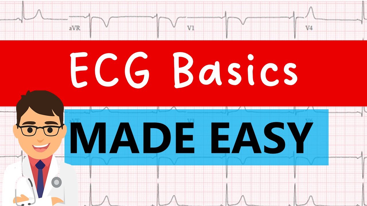 ECG basics | EASY GUIDE FOR MEDICAL STUDENTS!