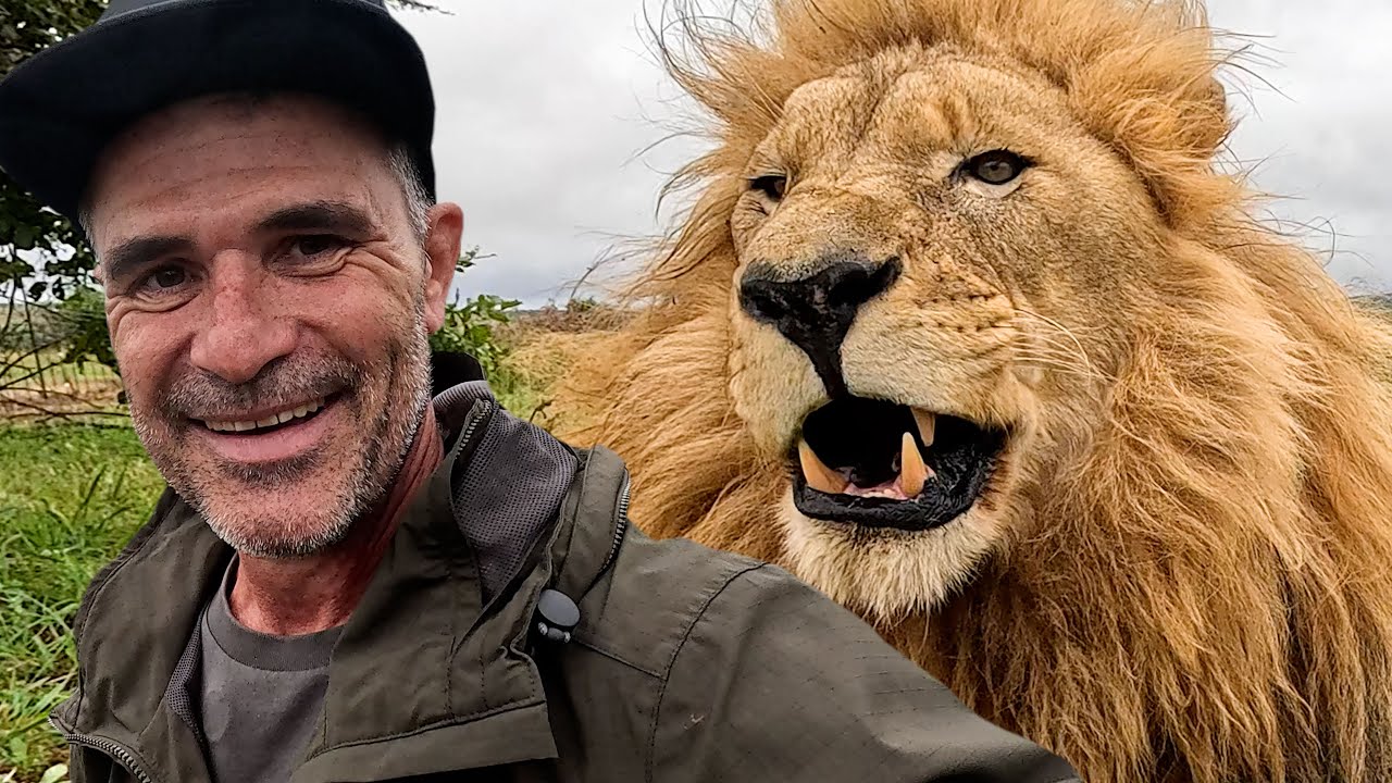 LION Jumps on Me! | The Lion Whisperer