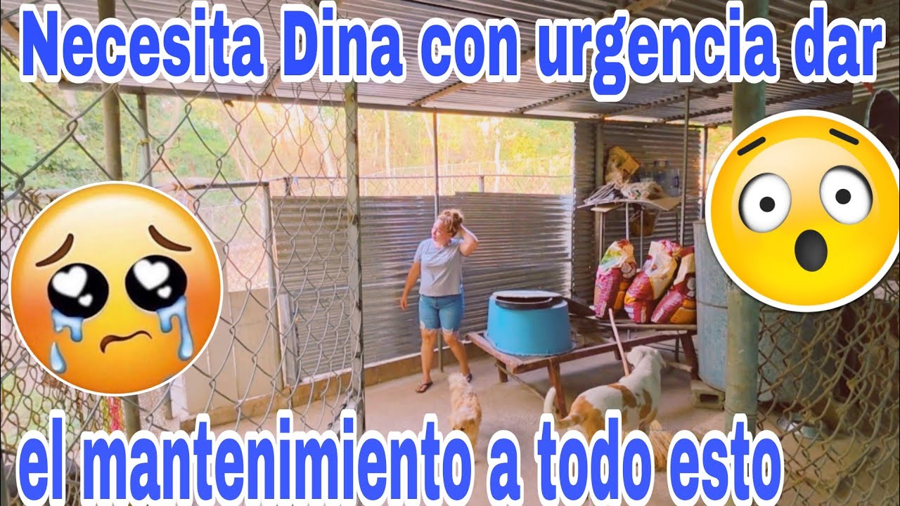 Todas estas cosas esta perdiendo Dina necesita mucha ayuda😱😳