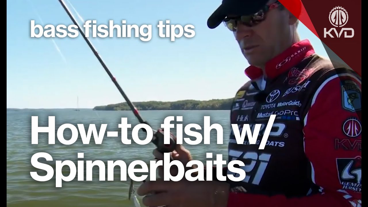 The Ultimate spinnerbait guide and fishing tips &mdash;&nbsp;with KVD