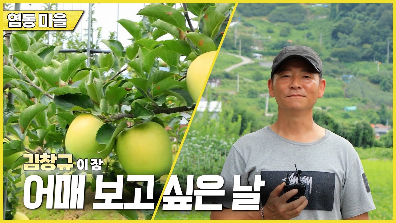 新우문현답 | 450회 어매 보고 싶은 날 | 경남 밀양군 삼랑진읍 염동마을  (KBS 2025.09.24.수 방송)