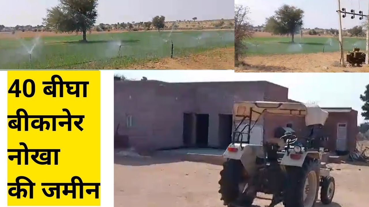 बीकानेर नोखा की 40 बीघा जमीन बिकाऊ  || Bikaner ki sasti bikau jameen || #realestate #bikaujameen