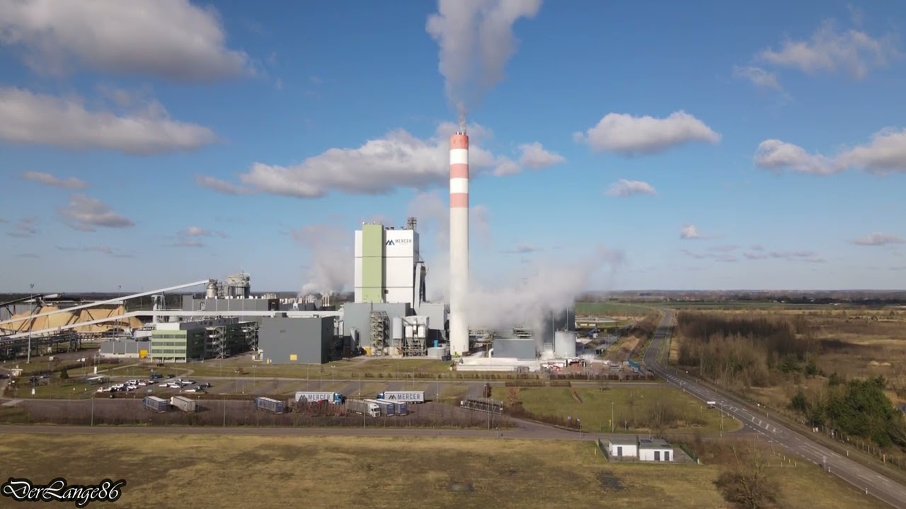 Zellstoff Stendal