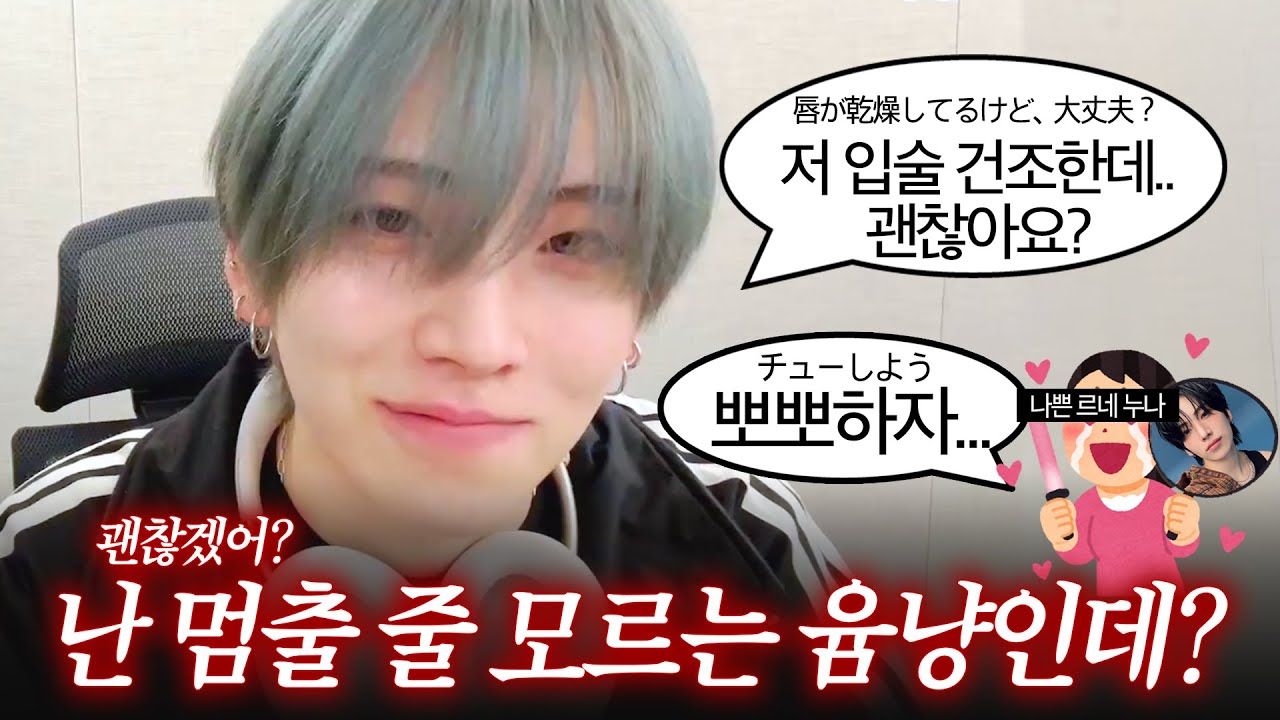 &TEAM 유마 위버스 라이브 요약 🐱 250204 (한글자막) | ユウマウィーバーズ·ライブ (日本語字幕)