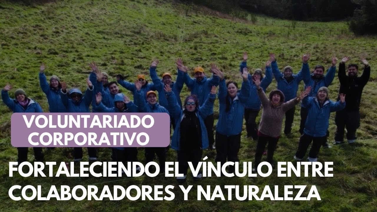 Voluntariado Corporativo: Fortaleciendo el vínculo entre colaboradores y naturaleza