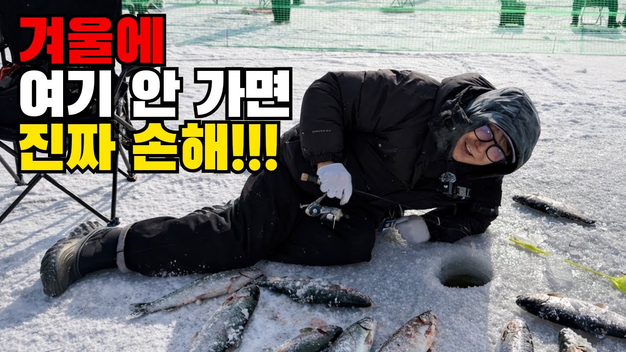 화천 산천어 축제 마릿수 대박 터지는 낚시 꿀팁!! (꽝 치기 싫으면 꼭 보세요)