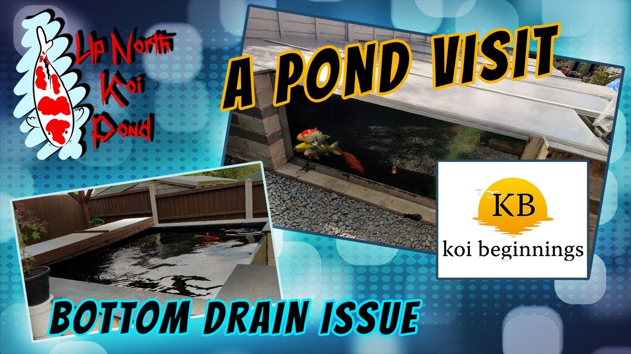 A Pond Visit To Koi Beginnings & Bottom Drain Issues