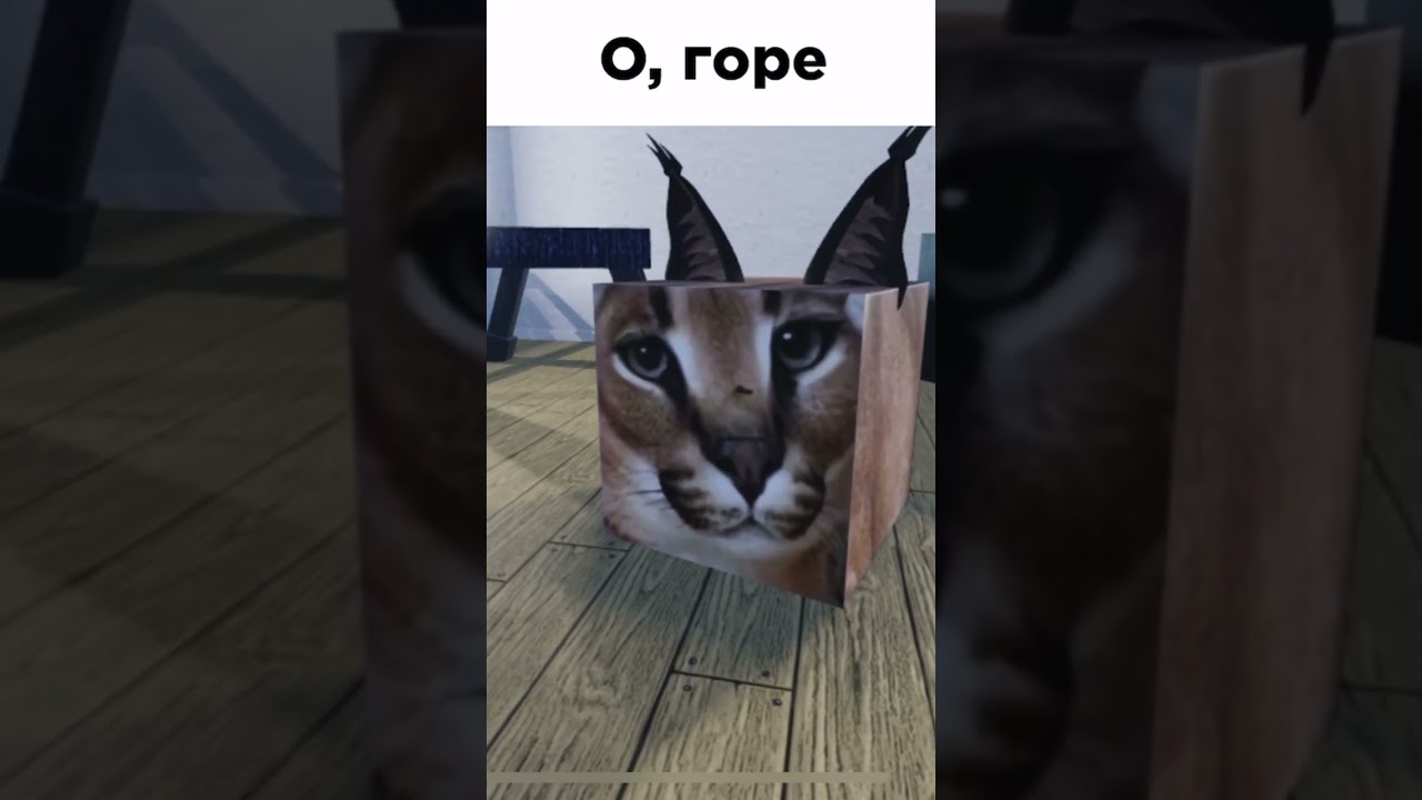 13 секунд кринжа 