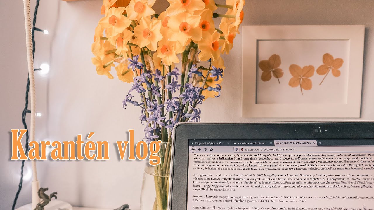 Karantén vlog, avagy az első egyetemi hét távoktatásban