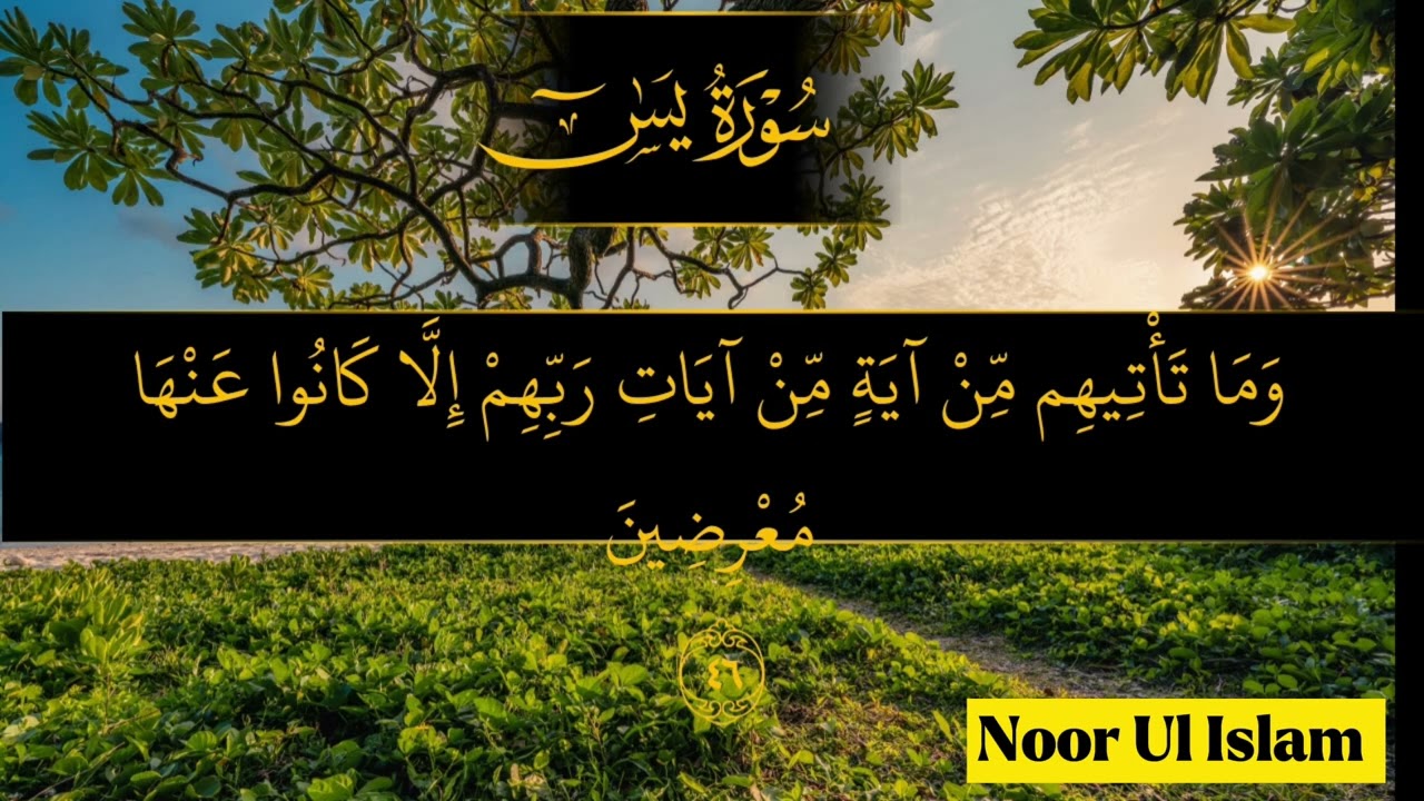 Surah Yaseen #❤️– Barakat aur Sukoon# ❤️ka Zariya ✨@Noor-ul-Islam1234 
