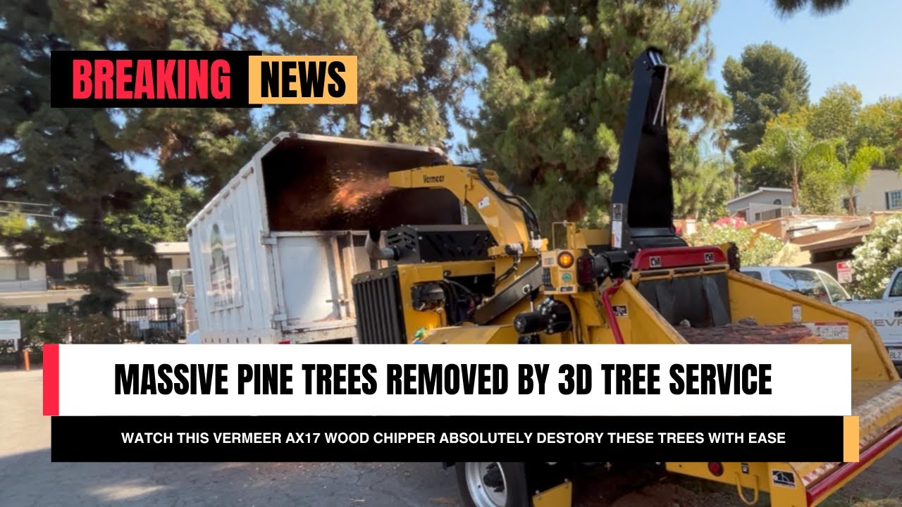 Vermeer 🪓 AX17 Demo | 3D Tree Service DESTROYS Massive Pine Removals 🌲💪🔥